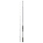 Canne spinning daiwa bg 242 h 15 - 80g