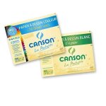 Canson lot de 2 pochettes papier  dessin 12 feuilles 24 x 32 cm 1 c  grain 180g blanc et 1 mi - teintes ...