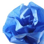 Canson rouleau papier soie 50 * 500 cm 20g