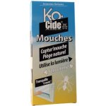 Capturmouche kocide pige  mouche naturel