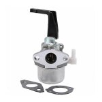 Carburateur briggs stratton - xvx - 696065 compatible 697422 110402 - 0206 - e1