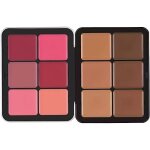 Carla secret concealer palette carla secret makeup palette carla secret cream blush palette long - wearing ...