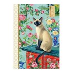 Carnets - editions kiub : carnet � mots de passe chat gwenaelle trolez