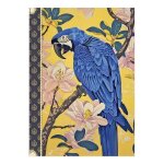 Carnets - editions kiub : carnet � mots de passe perroquet gwenaelle trolez