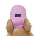 Casquette de baseball - chien - grande taille - respirante - protection solaire - ajustable