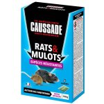 Caussade anti rats & mulots 150 g ( 6 x 25 grs ) - la solution radicale pour prot�ger votre maison -