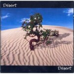Cd relaxation - relaxation senseï - vol. 02 - désert - boitier - musique relaxante Cd relaxation - relaxation senseï - vol. 02 - désert - boitier - musique relaxante