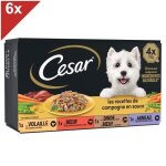 Cesar 24 barquettes en sauce 4 vari�t�s pour chien 150g (6x4)