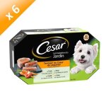 Cesar barquettes en terrine c?ur de l�gumes - 4 vari�t�s - pour chien adulte - 4 x 150 g (x6)