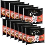 Cesar sachets fra�cheur en sauce - 2 vari�t�s - pour chien adulte - 52 x 100 g