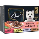 Nourriture humide pour chien - cesar sachet fra�cheur - 12 sachets de 100g - 4 vari�t�s - ingr�dients ...