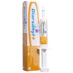 Ceva diarsanyl + chien chat seringue 10ml