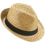 Accessoire - dragonex - chapeau borsalino en paille et bande noire adulte
