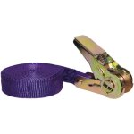 Chapuis - sangle polyprolne tendeur cliquet 25mm 5m 80kg uc1