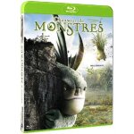 Chasseur de monstres - blu - ray - standard - 1080p - en couleur - tous publics