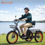 Cheevalry cf750 tricycle adulte moteur 750w autonomie 50km batterie 20ah 48v 38km / h pouces 20??pneus ...