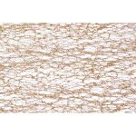 Chemin de table glitter - or 30 cm * 5 m or