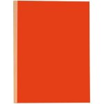 Chemises rigide a dos toile a soufflet - lot de 25 Chemises rigide a dos toile a soufflet - lot de 25
