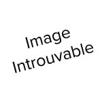 Chlore galets chlorilong 250 10 kg