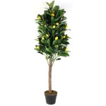 Plante artificielle - home deco factory - citronnier - vert et jaune