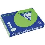 Ramette de papier - clairefontaine - 1293 - a4 120g - vert menthe - paquet de 250 feuilles