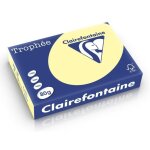 Clairefontaine ramette canari a4 80g 500 feuilles Clairefontaine ramette canari a4 80g 500 feuilles