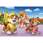 Puzzle 2 x 20 pices : pat patrouille (paw patrol)