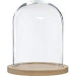 Cloche verre et bois h295cm - atmosphera cr�ateur dint�rieur
