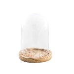 Cloche verre sur support bois paulownia 14x21cm