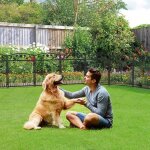 Cl�ture jardin en m�tal barri�re d�corative ext�rieur noir grillage lot de 5 - 60x110c