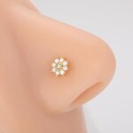 Clou piercing nez piercing au nezstyle 10 - platinum plated - tats - unis - - petits anneaux de nez ...