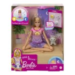 Coffret bien etre barbie meditation - rise & relax - mattel - hcn08 - poupee chiot & accessoires