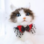 Collier anti - fugue - cloture anti - fugue - pack anti - fugue coup de chat coup de la citrouille style ...