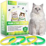 Collier anti puces pour chat collier anti - puces et anti - tiques pour chat protection efficace de 24 ...