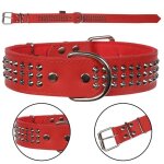 Collier pour chien - dino - rouge - cuir naturel - 40mm de large - 67cm de long