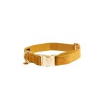 Collier pour chien kentucky velvet - mustard - 25 / 38 cm Collier pour chien kentucky velvet - mustard - 25 / 38 cm
