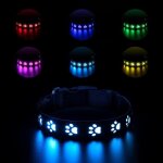 Collier chien lumineux collier led pour chien 7 modes usb rechargeable etanche ceinture rglable collier ...