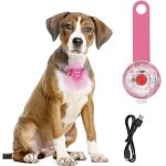 Collier chien lumineux rechargeable pendentif lumineux clignotant led pour chiens chats nuit led lumire ...