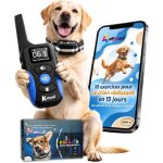 Collier de dressage pour chien sans choc �lectrique avec t�l�commandeebook �ducatif inclusvibration et ...