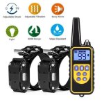 Collier lectrique collier dressage pour 2 chiens rcepteurs 800m colliers lectrique rechargeable avec99 ...