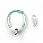 Collier jouet laser pour chat - phoesky - interactif - infrarouge - auto - jeu - plastique - 310 mm - ...