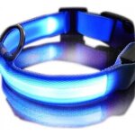 Collier led - chien - bleu - taille xl - lumineux - scurisant