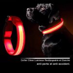 Collier  led pour chien rechargeable par usbcollier lumineux visibilit pour promenade nocturne de animal ...