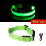 Collier lumineux led - green - anti - perte - chargeur usb - petit chien - nylon solide