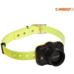 Collier de reprage beeper canibeep 5