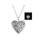 Collier sautoir pendentif steampunk coeur perfor pentagramme plaqu argent mdaillon fe magique fluorescent ...