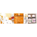 Colorant liquide pour bougie 5 flacons 27 ml