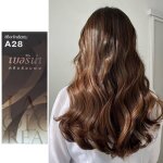 Teinture capillaire - chocolat noir a28 - longue durée - crème - 60g + 60ml Teinture capillaire - chocolat noir a28 - longue durée - crème - 60g + 60ml
