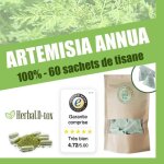 Complément alimentaire herbal d - tox infusion renforcement de lorganisme artémisinine ~ armoise pure ... Complément alimentaire herbal d - tox infusion renforcement de lorganisme artémisinine ~ armoise pure ...