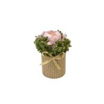 Composition renoncule fleurs s�ch�es 9cm rose